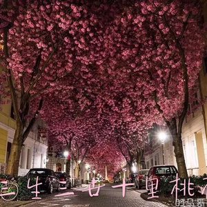 沦为军妓被扒开双腿玩弄
